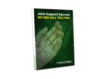 Joint Support Secrets No One Will Tell You
