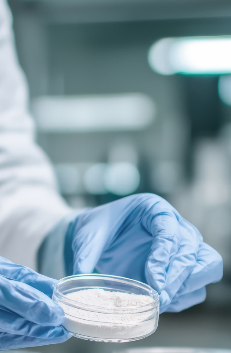 lab