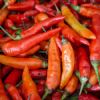 ingredient icon